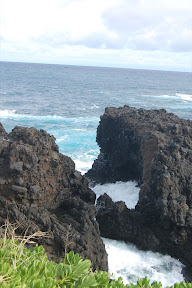 DSC_0988.jpg