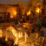 1559-4.jpg 1559-4.jpg