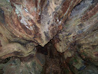 california_sequoia
