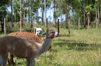 DSC_3546.JPG