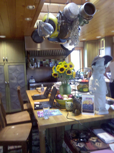They may live on a farm, but the family is still busy with work and school -- as shown by the laptop station in the kitchen.