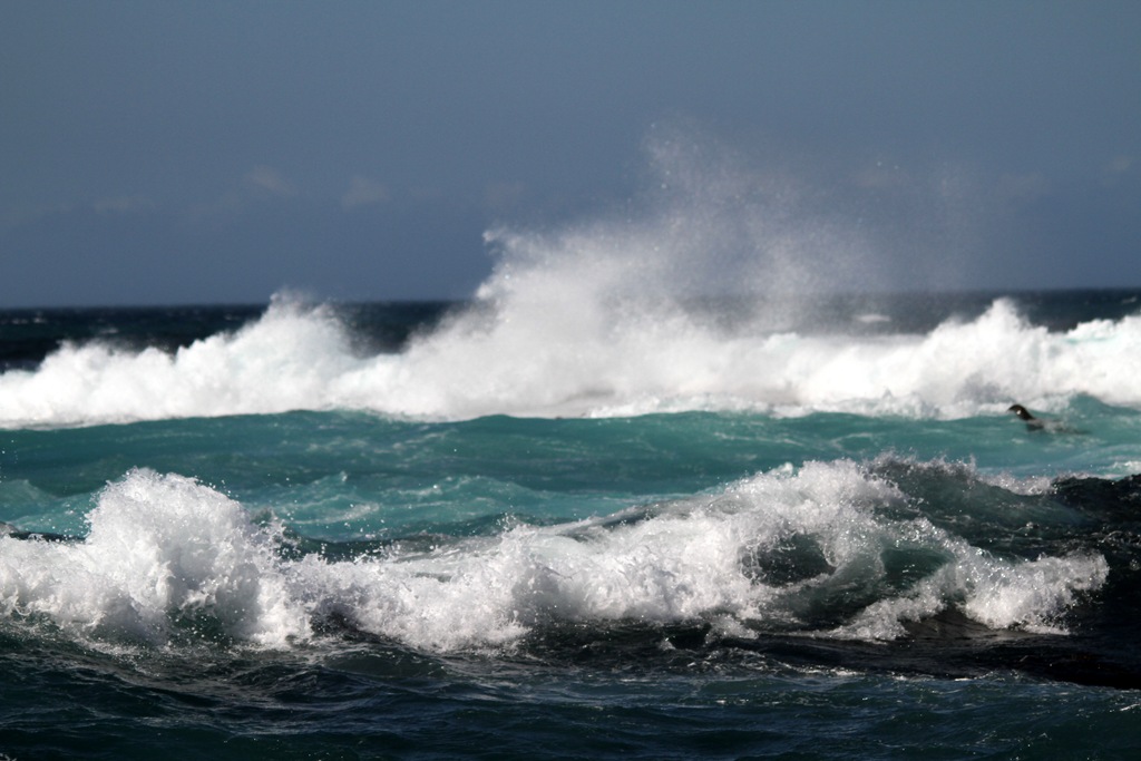 [IMG_1646%255B5%255D.jpg]