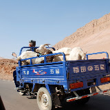 Flaming mountains - Moto-truck de chèvres