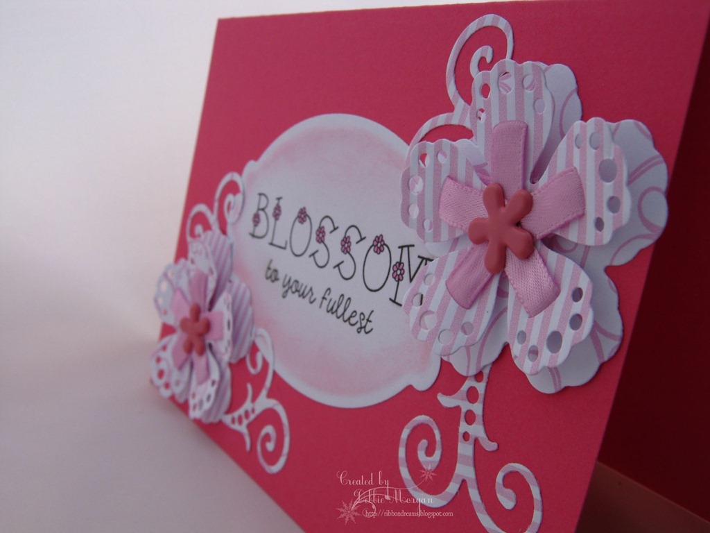 [IMG_2409b%255B2%255D.jpg]