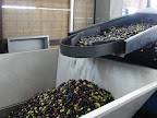 p1235299302(3).jpg