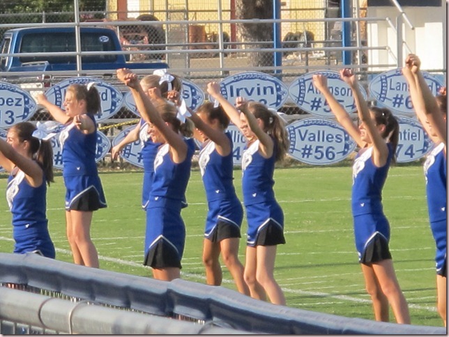 IMG_3688 IMG_3688