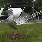 CIMG0975.JPG