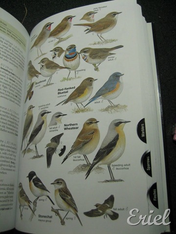 [gG%2520069%255B10%255D.jpg]