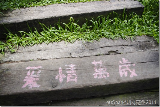 _IGP8489 _IGP8489