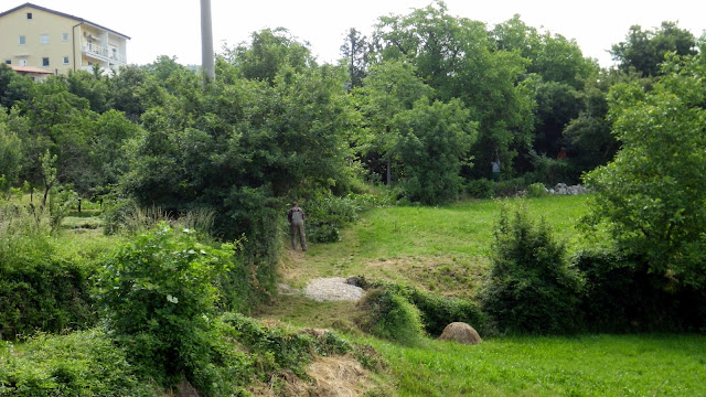2014-05-Cistilna-akcija-Osek-20.JPG