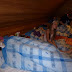 P1030595.JPG