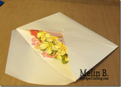 box in envelope-480