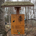 singold-bote_waldlehrpfad-schwabegg_049.jpg