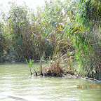 IMG_7949.JPG