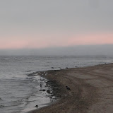 DSC00781.JPG