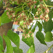 DSCN1360.JPG