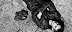 5141252400_cb33ddb30d_o.jpg