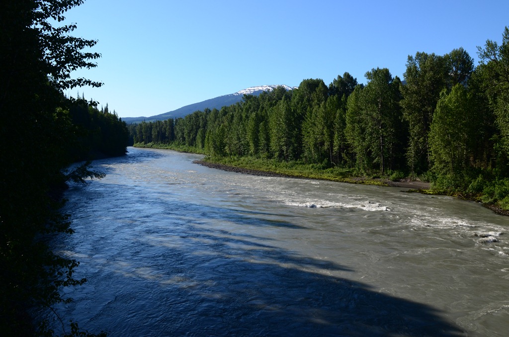 [Cassiar--Day-7_7624.jpg]