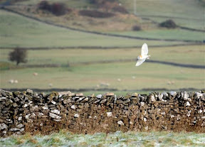 Peak District  (29).jpg