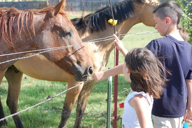 DSC_0106 DSC_0106