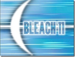 Bleach11 Title