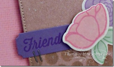 CTD298-closeup CTD298-closeup