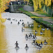 20081109_184.JPG