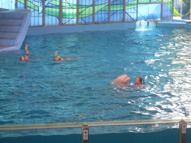 [IMG_7560%255B2%255D.jpg]