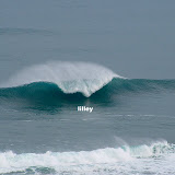 BestSurf2