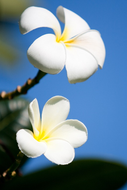 [20121217-IMG_47733.jpg]