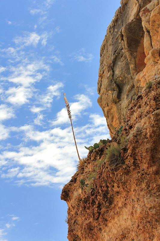 [120726_Grand-Canyon-Bright-Angel-Tra%255B1%255D.jpg]
