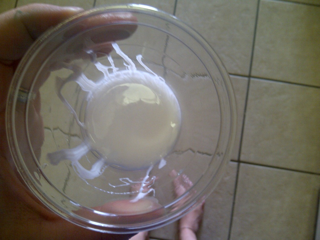 [IMG-20120522-053623.jpg]