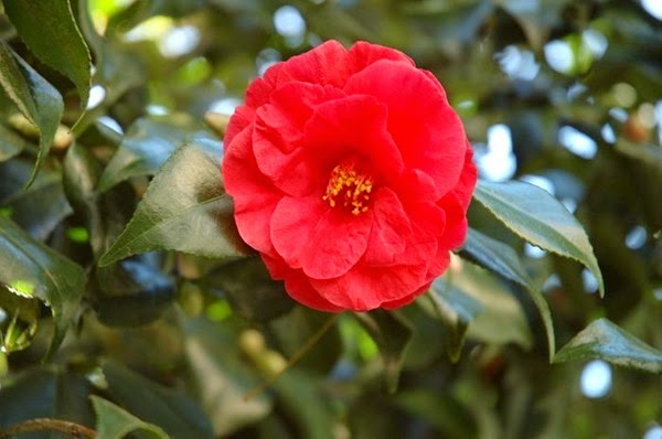 jsl65_thumb1 jsl65_thumb1