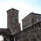 DSCF4786.JPG