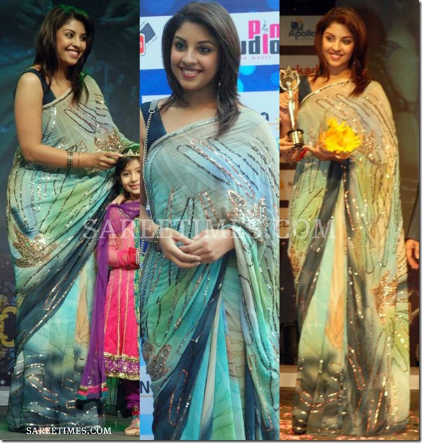 Richa_Gangopadhyay_Embroidery_Saree