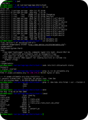 Bash Bash