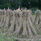 graanoogst-09-052.jpg