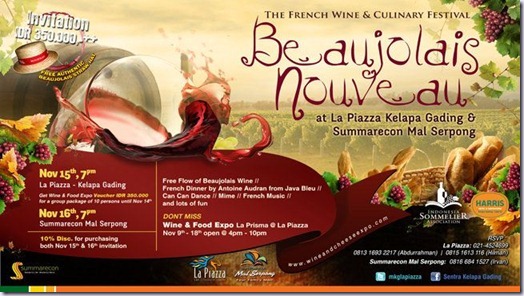 beaujolais3-vinhoedelicias beaujolais3-vinhoedelicias