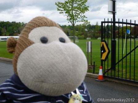[Wolves-Training-Ground13.jpg]
