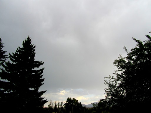IMG_6403 IMG_6403