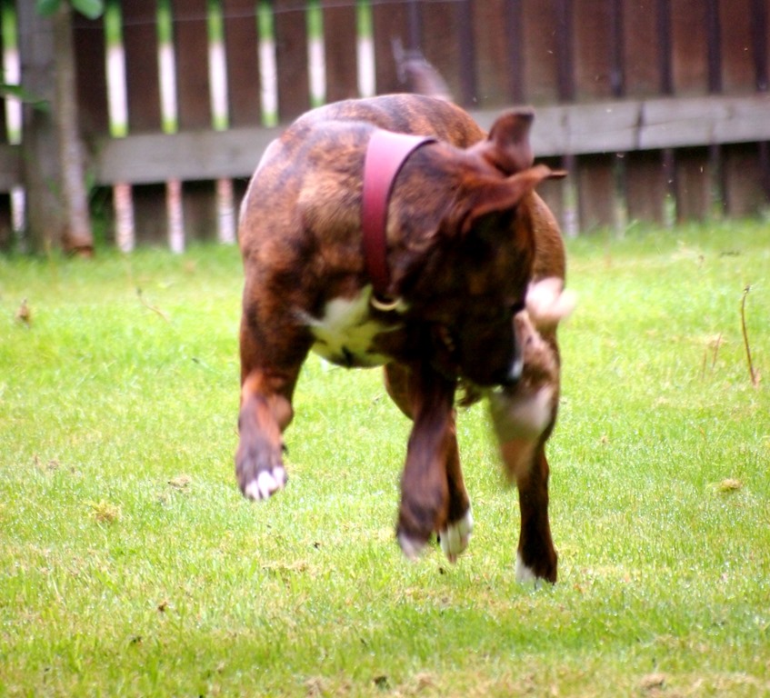 [10%2520June%25204%252009-06-2013%252008-18-49%255B3%255D.jpg]