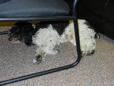 DSCN9230.jpg DSCN9230