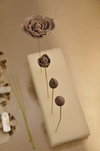 Here, you can see how the succulent begins to take form.