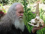 Oz Oberon Skull