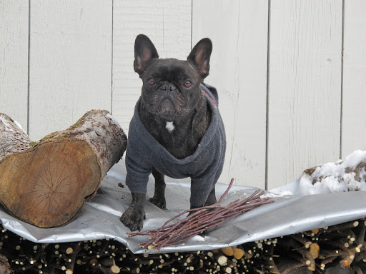 Look at this nice bundle of kindling I made.