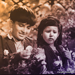 RBC-Mosaic-157.jpg