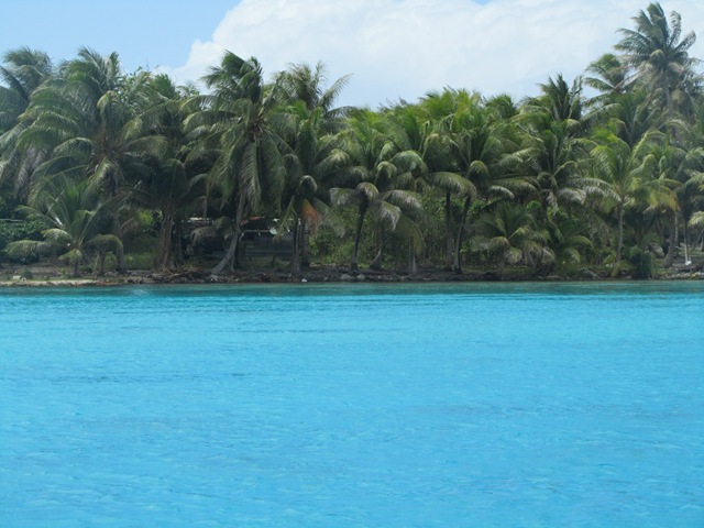 [IMG_46653.jpg]