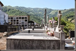 IMG_2925 IMG_2925
