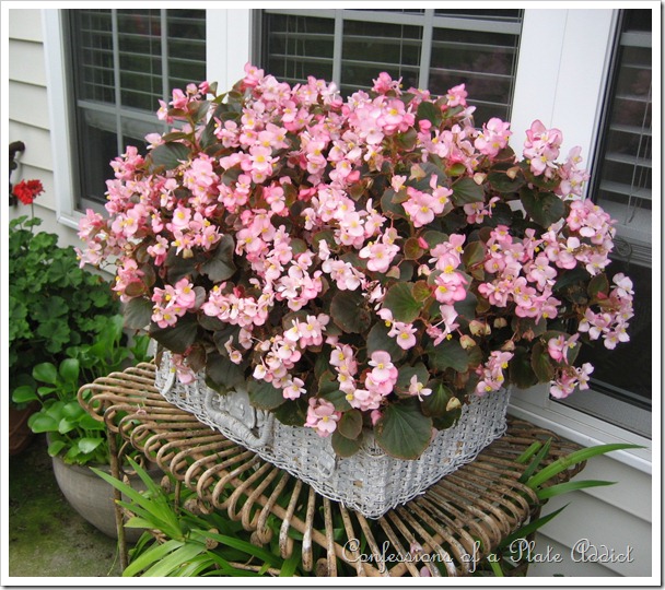 picnic basket picnic basket