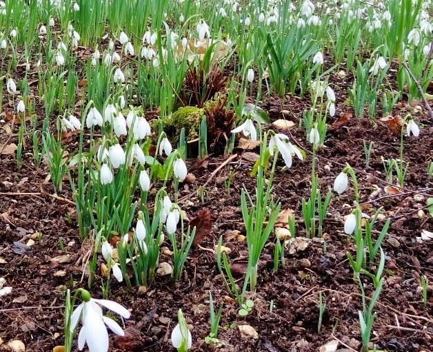 [DSC01168%2520%25281300x943%2529%255B4%255D.jpg]